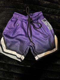 Image 1 of HN PURPLE MESH SHORTS