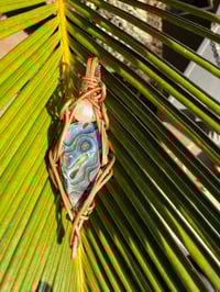 Image 4 of Abalone & pearl 🤍