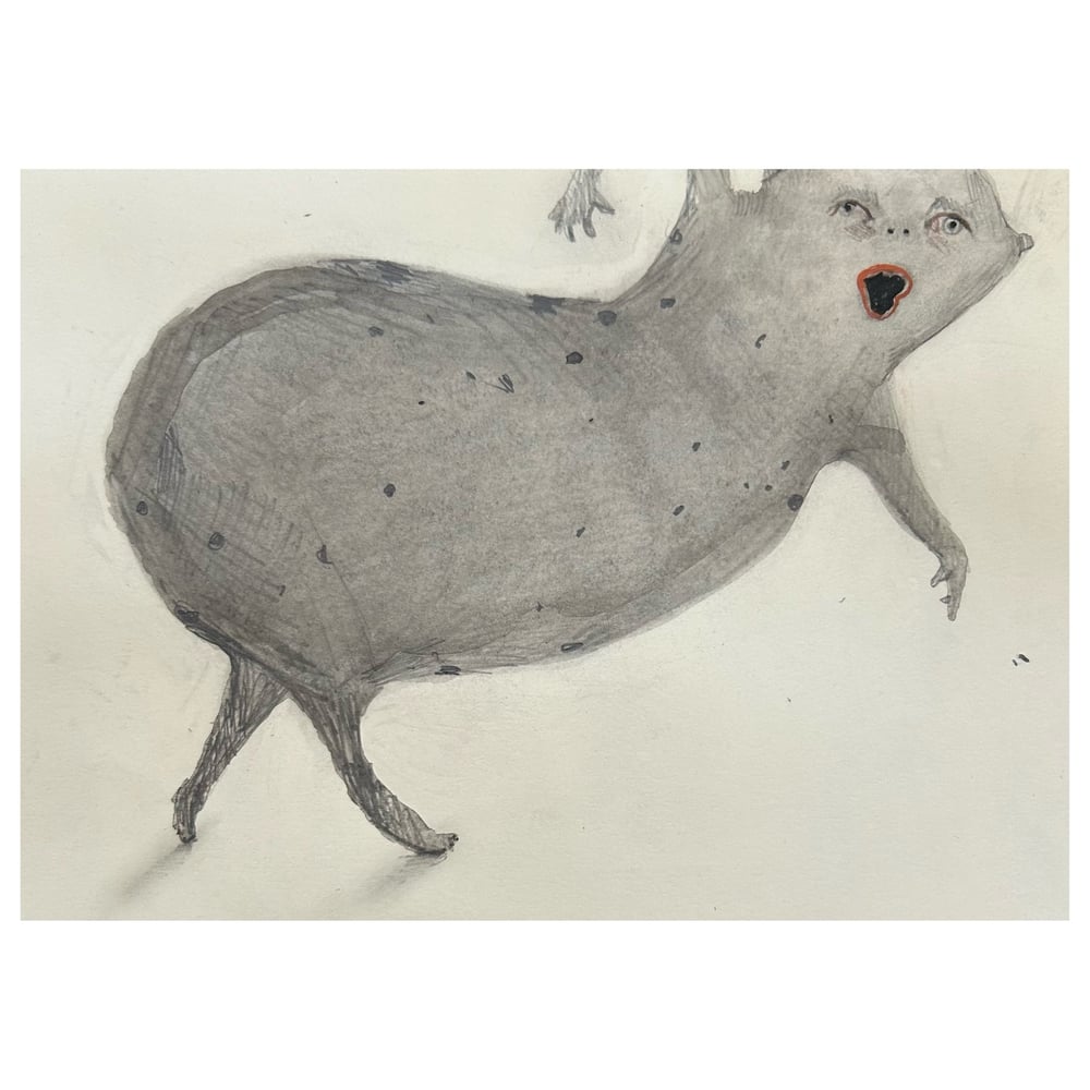 Image of Untitled ( little hind legs)