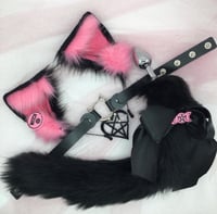 Hot Pink/Black 🐈 Kitten Set 