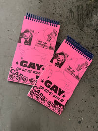 Gay Notebook