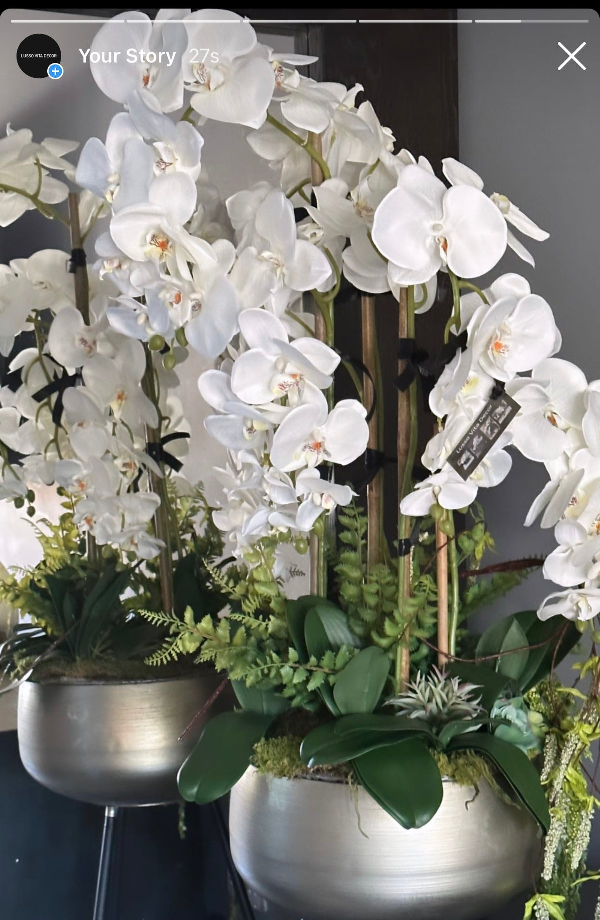 Image of NEW! Orchid arrangements in plant stands