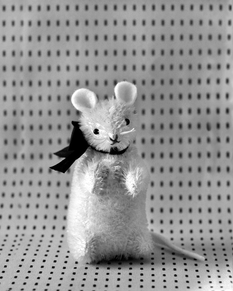 Image of SAM THE MOUSE