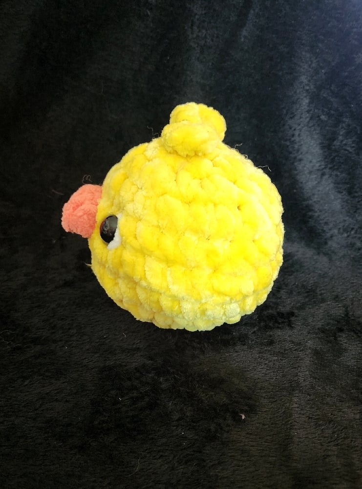 Image of Chicks
