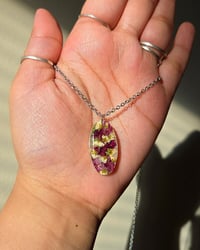 Image 1 of Lantana & Bridal Wreath