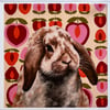 Lop rabbit print