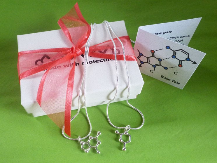 Image of DNA/RNA friendship necklaces