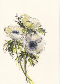 Anemone study no. 1