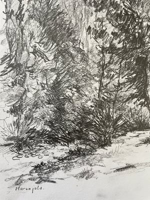 Image of VINTAGE DUTCH DRAWING: LANDSCAPE #2