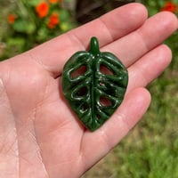 Image 4 of Sparkly Swiss Cheese Monstera Leaf