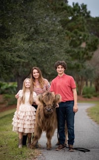 Image 4 of Scottish Highland Cow OR cute baby cow photo shoot 