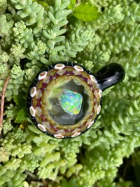 Image 3 of Opal Shells