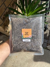 Image 1 of Cactus Seed Starter (1 Qt.)