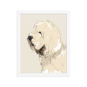 Image of OTTERHOUND