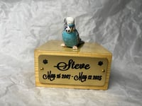 Image 13 of Custom Engraved Budgie Parakeet Handpainted To Your Photos Bird Mini Keepsake Urn Pet Portrait
