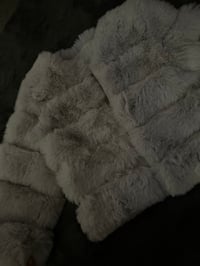 Image 11 of Fur coat🩶