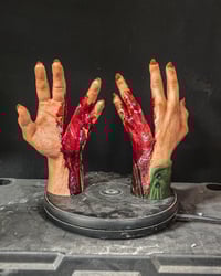 Image 1 of Part 4 split hand display