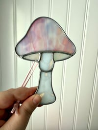 Image 2 of Opaque Mushrooms