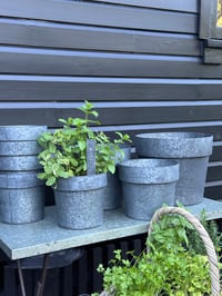 Image 1 of Tinware Pot 