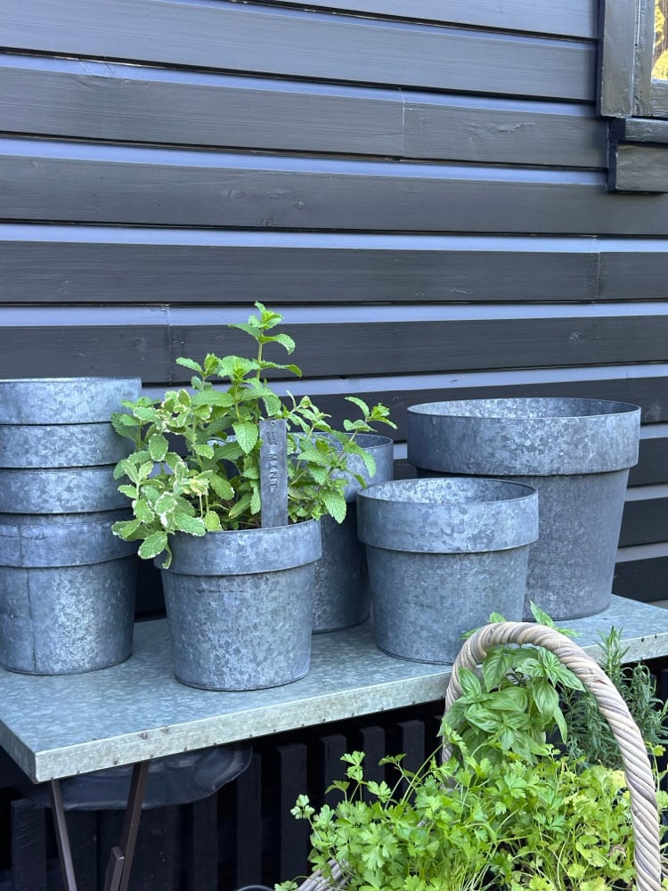 Image of Tinware Pot 