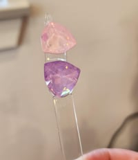 Image 1 of Zulay Crystals- Pastel Delight Chaton (2pc)