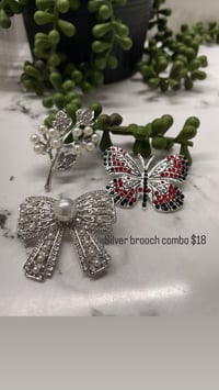 Silver butterfly brooch combo
