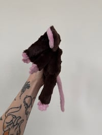 Image 9 of Mystery Rat Pre-Orders 
