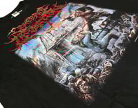 Image 4 of Cerebral Incubation - SS 