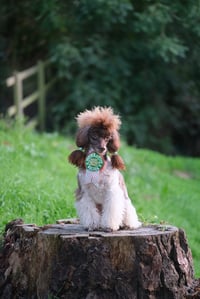 Image 4 of Christmas Badges