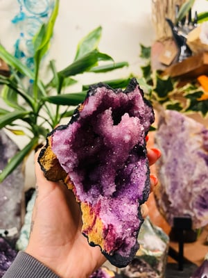 Image of Purple Agate Geode ||