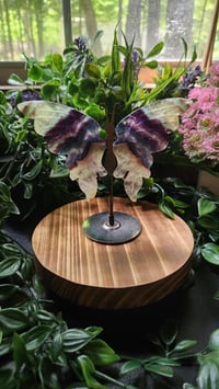 Image 2 of Fluorite Butterfly
