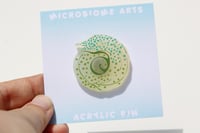 Moray Eel Frosted Acrylic Pin