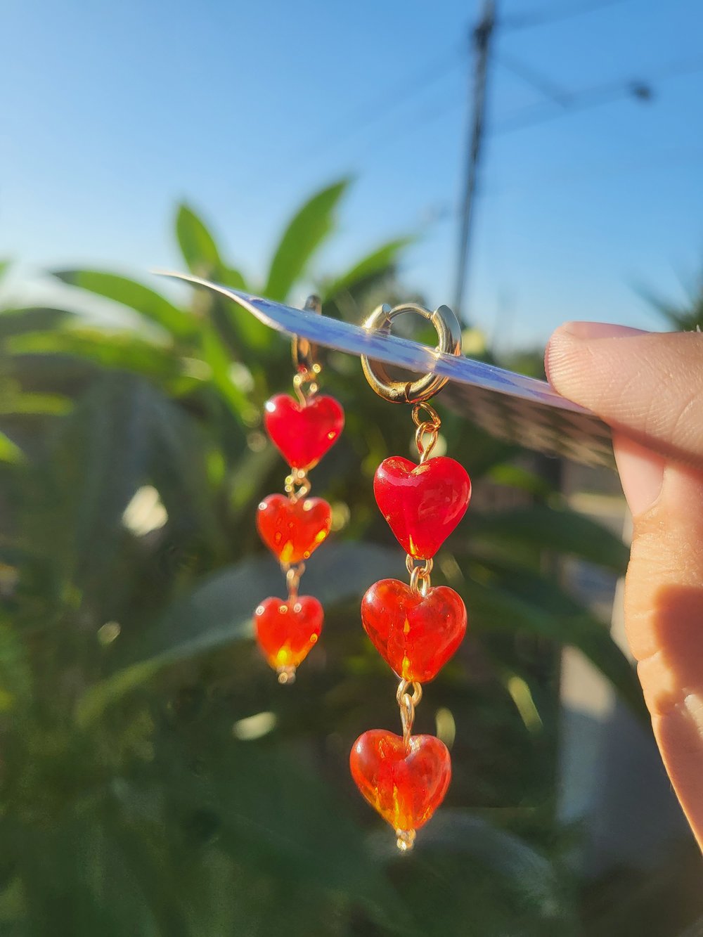 Image of Bleeding hearts