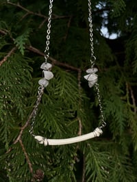 Image 1 of Paw Bone Necklace