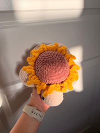 Image 2 of Sunflower Turtle