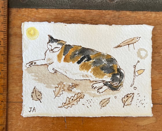 Image of Margot relaxing in the sun.