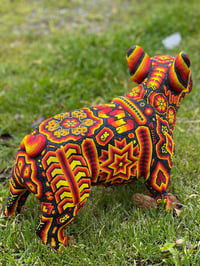 Image 3 of Large Frenchie 07