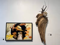 Image 2 of Hawk in the Falling season- Diane Matz