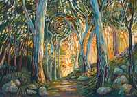 Image 1 of Eucalypt Cathedral - Large Canvas Print