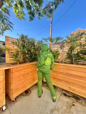 Image of SLIME SET