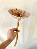 Bee bath small - 8