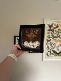 Image 2 of Orion Cecropian Frame with Flowers