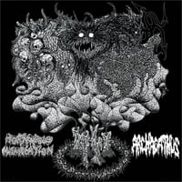 Image 1 of Archagathus / Horrendous Miscreation “split” LP  (DAMAGED)