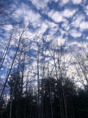 Image of Sacred Nature Journey .. local