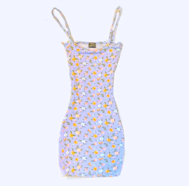 Baby Blue Floral Dress