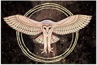 Image 2 of “Barn Owl” by Zasha Welsh