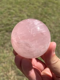 Image 8 of Star Rose Quartz Sphere #2982