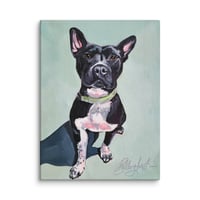 Image 2 of Little Pittie