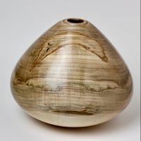 Image 1 of Ambrosia Maple Hollow Form