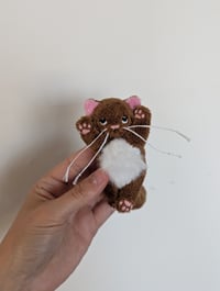 Image 1 of Brownie